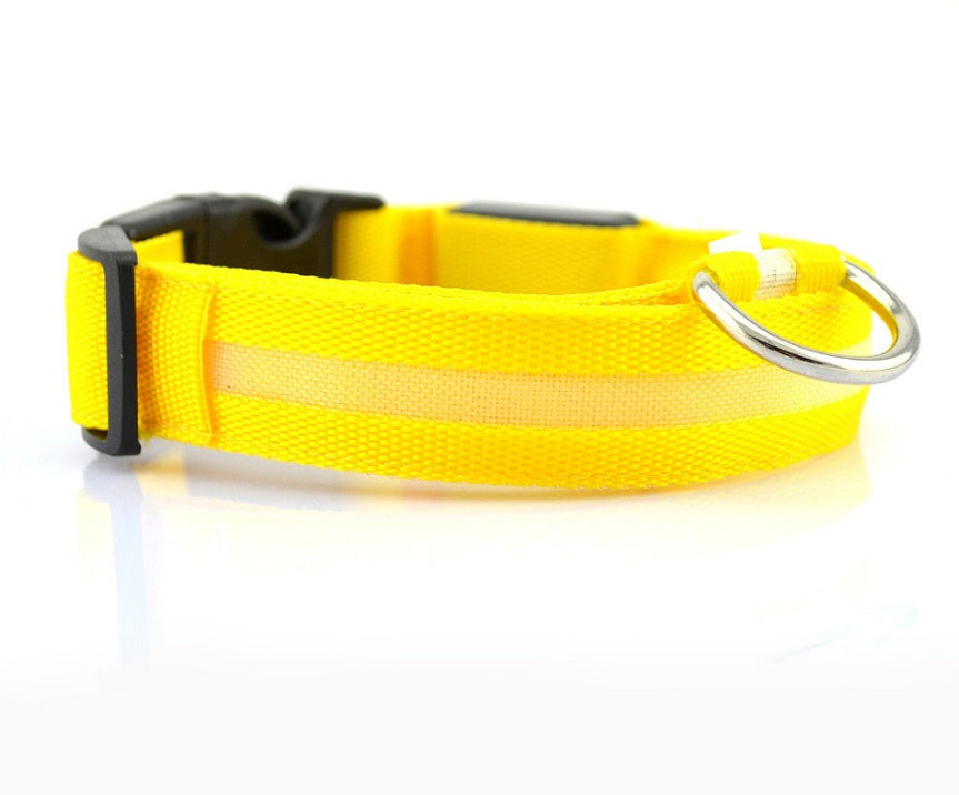Collier LED lumineux pour chien
