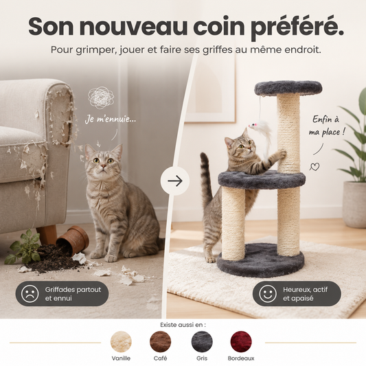 Arbre à chat compact 3 niveaux