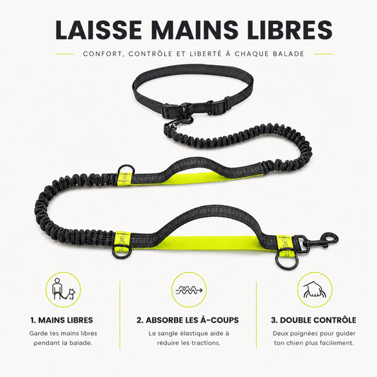 Laisse mains libres pour chien