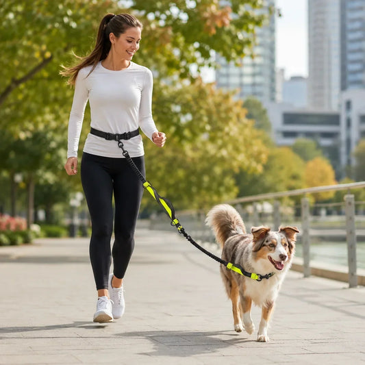 Chien courant avec une laisse mains libres