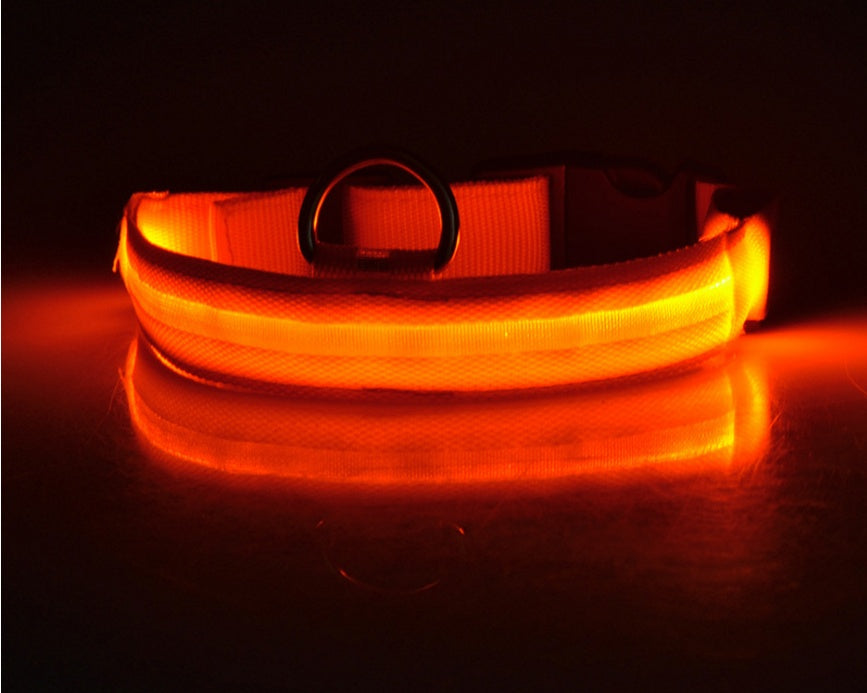 Collier LED lumineux pour chien