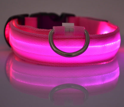 Collier LED lumineux pour chien