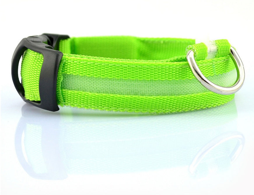 Collier LED lumineux pour chien
