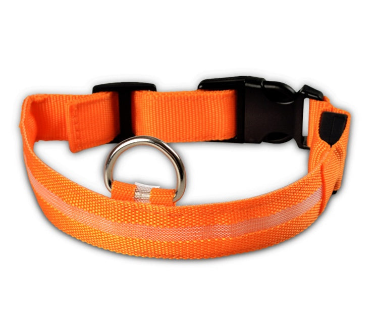 Collier LED lumineux pour chien