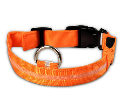 Collier LED lumineux pour chien