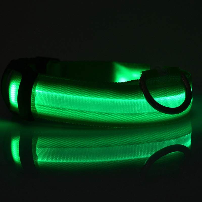 Collier LED lumineux pour chien