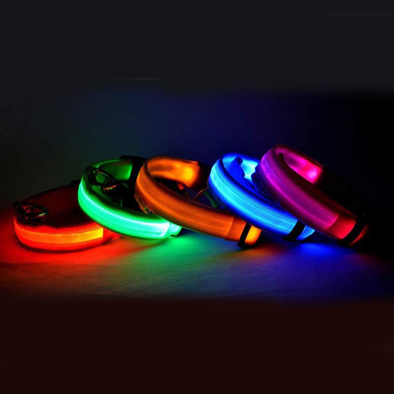 Collier LED lumineux pour chien