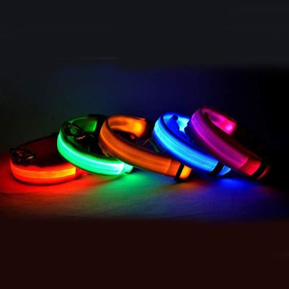 Collier LED lumineux pour chien