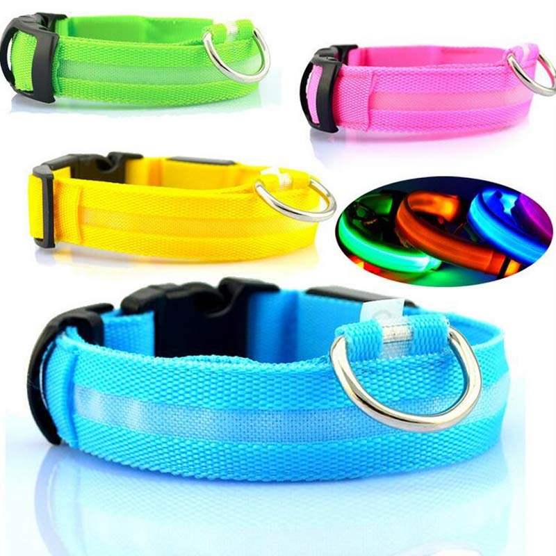 Collier LED lumineux pour chien
