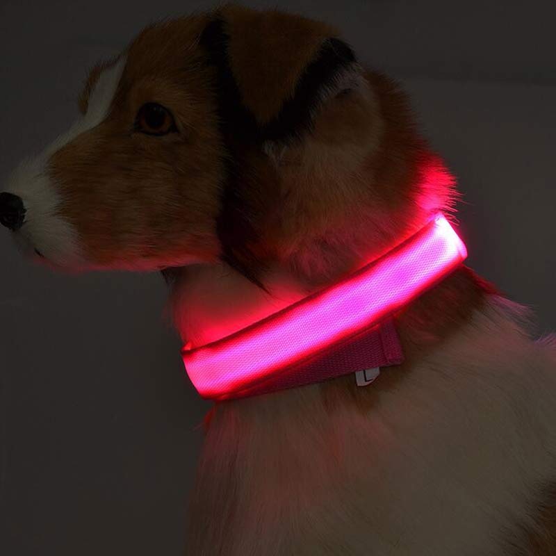 Collier LED lumineux pour chien