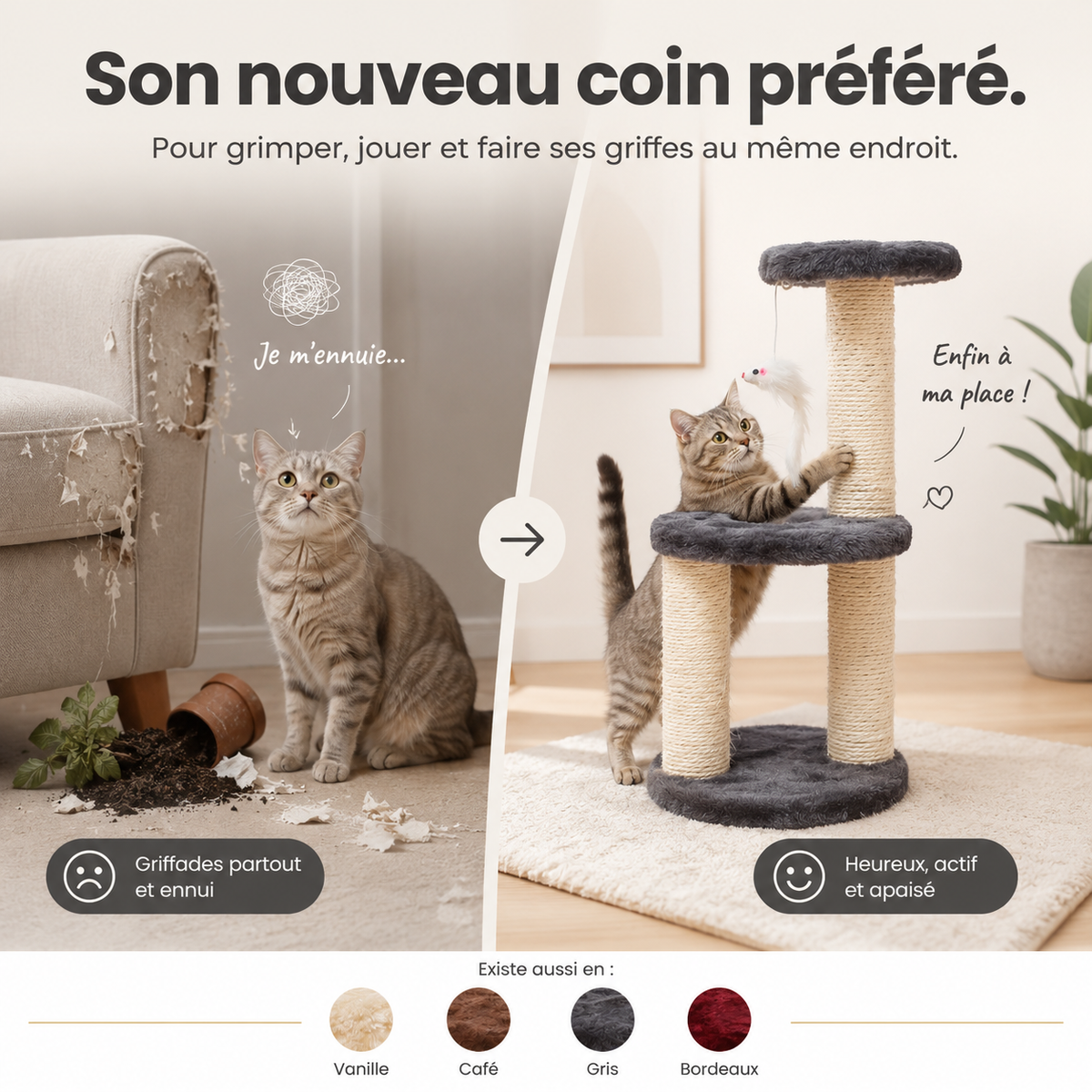 Arbre à chat compact 3 niveaux