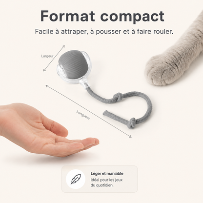 Balle interactive automatique pour chat