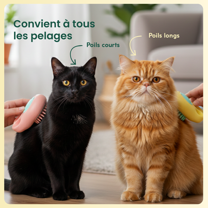 Brosse de bain adaptée au toilettage de différents pelages de chats