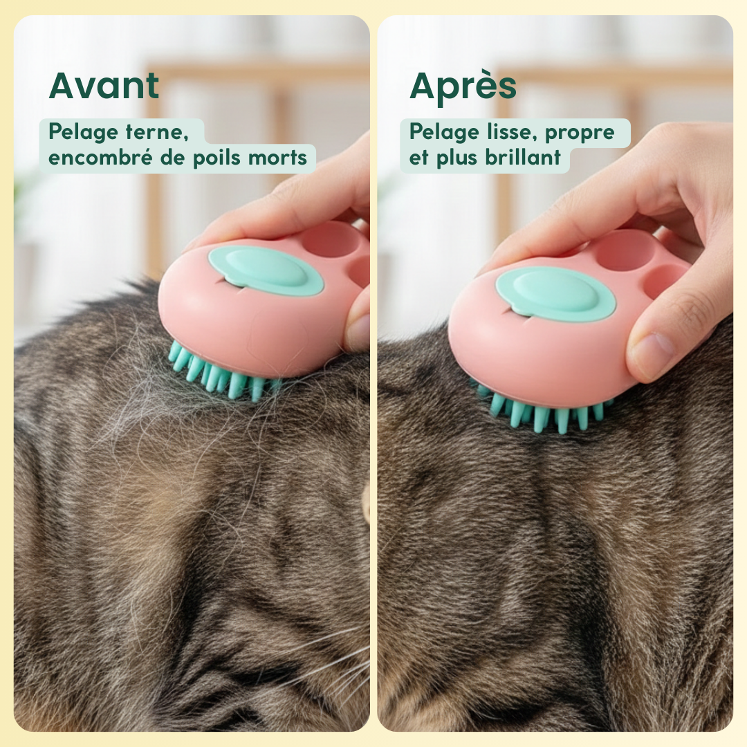 Brosse de bain rose utilisée sur le pelage d’un chat