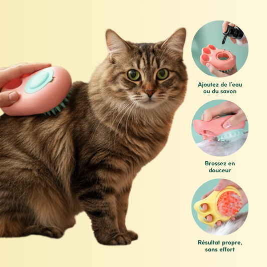 Main massant le pelage d’un chat avec une brosse souple