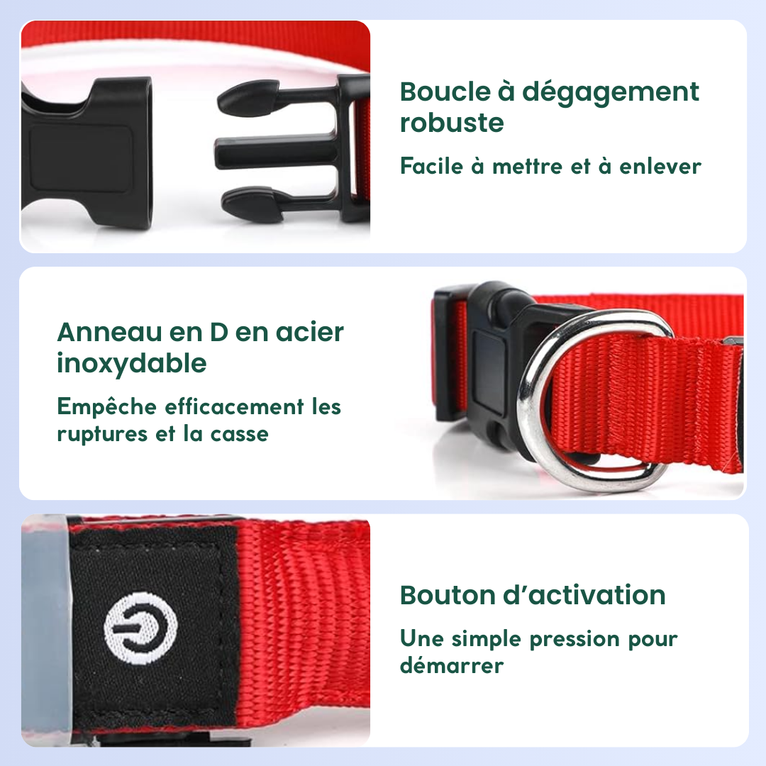 Détails de la boucle et du réglage du collier LED rouge pour chien