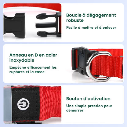 Détails de la boucle et du réglage du collier LED rouge pour chien