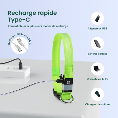 Collier LED lumineux vert rechargeable avec un câble USB-C