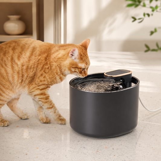 Fontaine à eau USB pour chien et chat