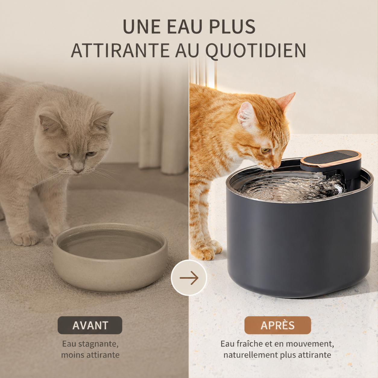 Fontaine à eau USB pour chien et chat