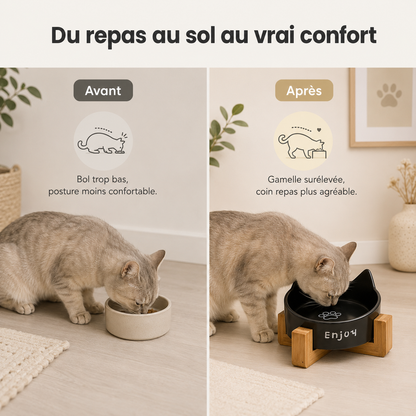 Gamelle céramique surélevée pour chat