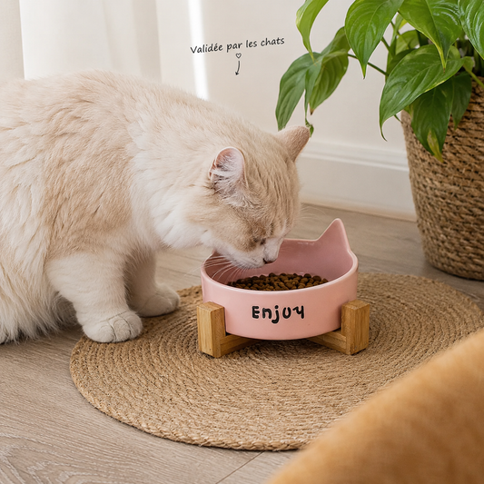 Gamelle céramique surélevée pour chat