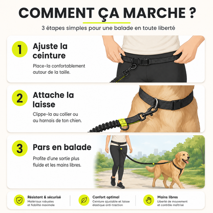 Laisse mains libres pour chien