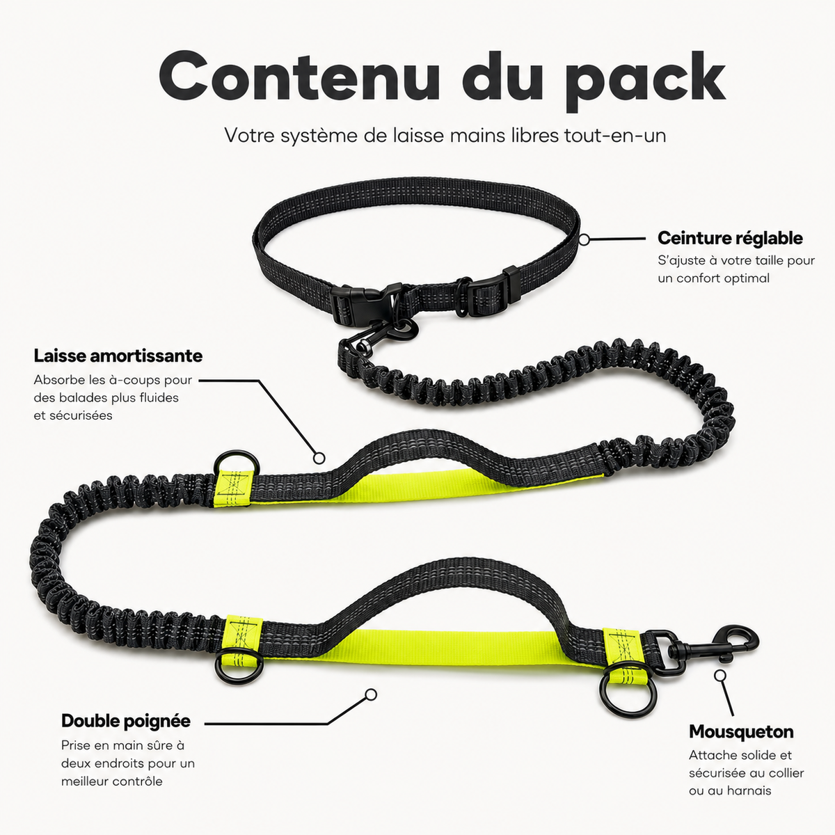 Laisse mains libres pour chien