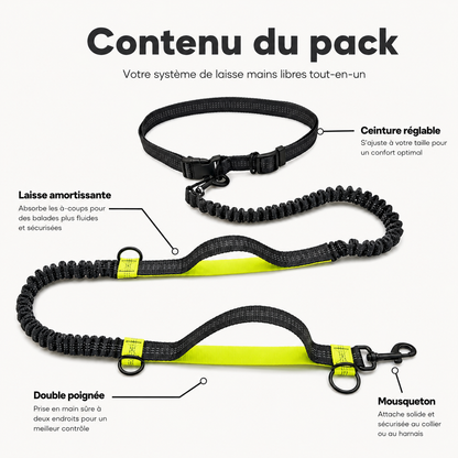 Laisse mains libres pour chien