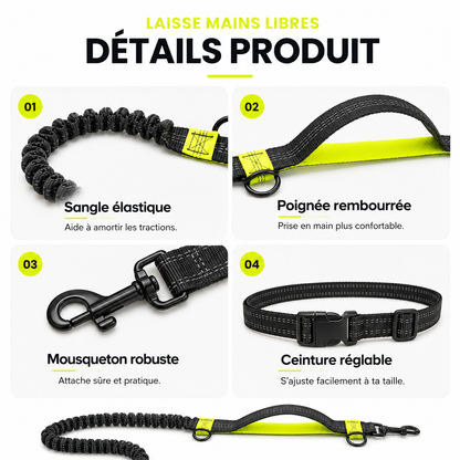 Laisse mains libres pour chien