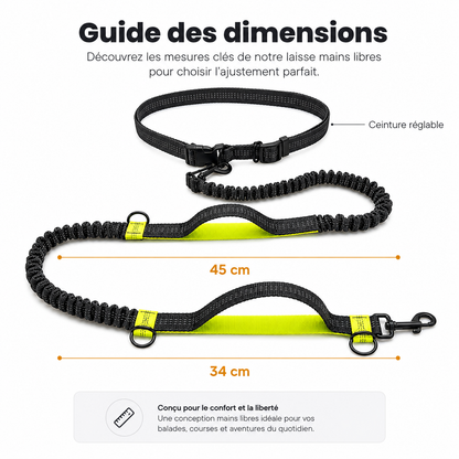 Laisse mains libres pour chien