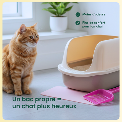 Chat à côté de son bac équipé d’une pelle à litière rose